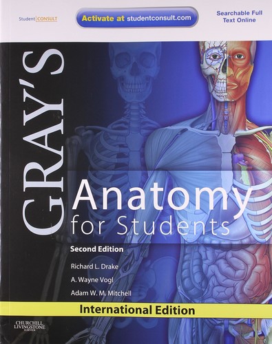 Gray anatomy for - gray's,